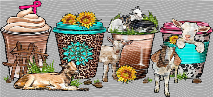 16oz Latest Bestseller-C 2536